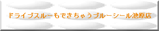 �h���C�u�X���[���ł����Ⴄ�u���[�V�[���r���X