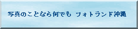 �ʐ^�̂��ƂȂ牽�ł� �t�H�g�����h����